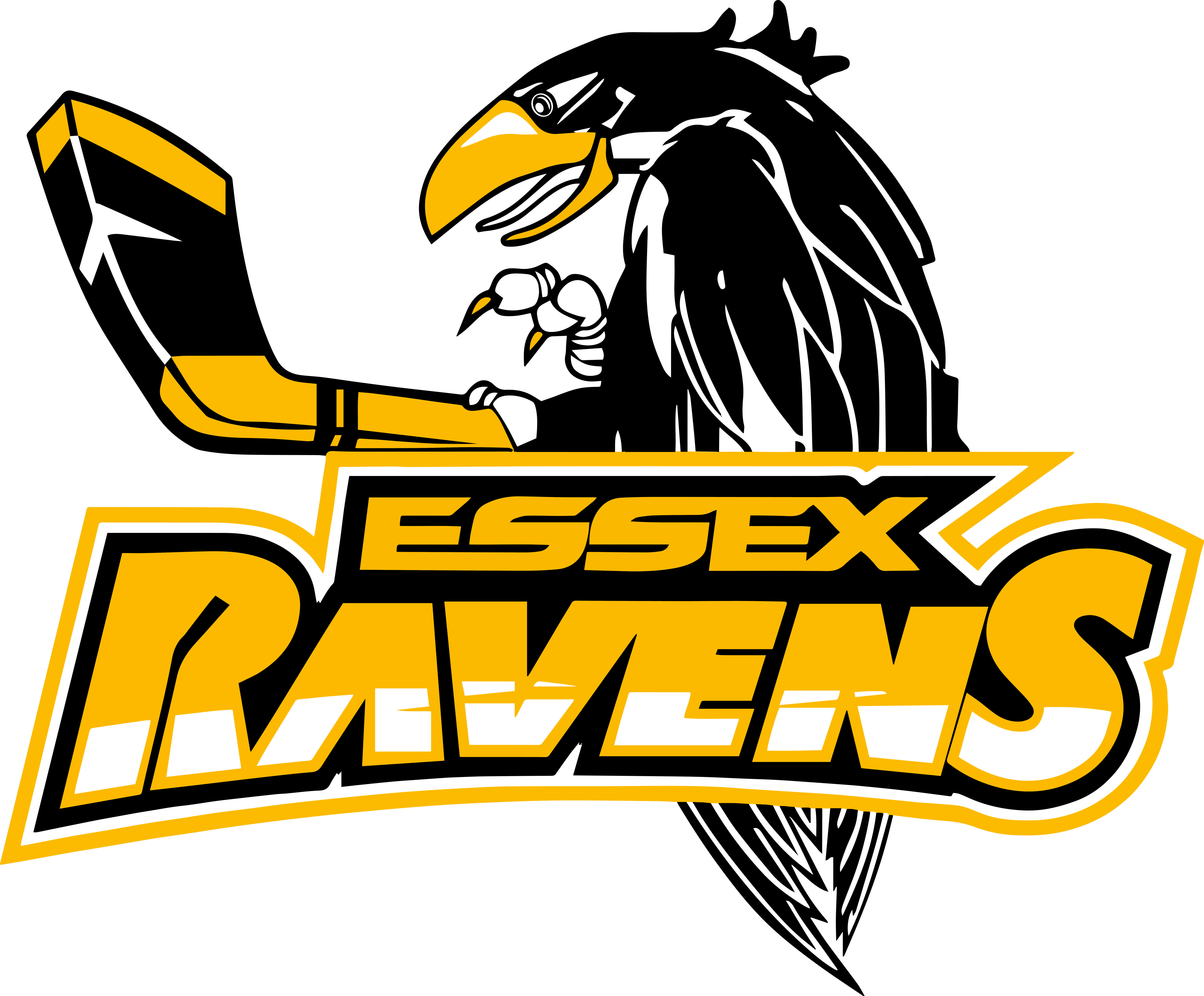 Essex Ravens Logo